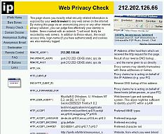 Englische Version des IP-Portals (ipinfo.info)